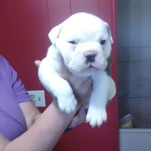 Meet your Posher, Debra